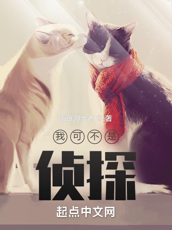 侦探不是侦探