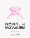 灯火阑珊处的意思
