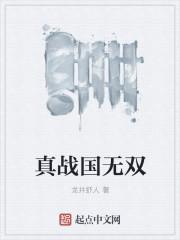 战国无双basara4皇