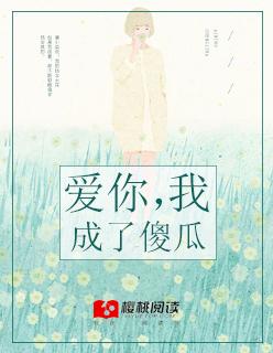 我成了傻瓜歌词
