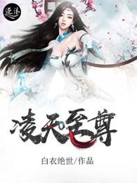 凌天至尊庄十三