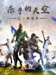 杀手的天空背景音乐