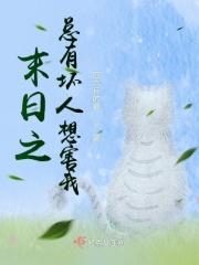 三国之曹家逆子收了多少猛将